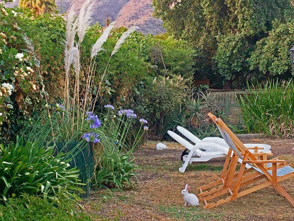 Novaqua Bed & Breakfast Olmue Exterior photo